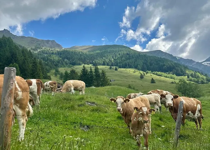 Casa de Férias Doesentaler Bergidyll